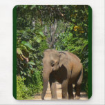 Elefante Alfombrillas De Raton