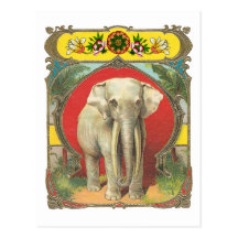 Elefante blanco postal