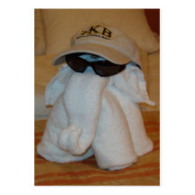 Elefante de la toalla con las gafas de sol plantillas de tarjeta de negocio