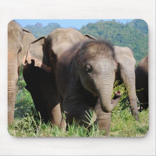 Elefante del bebé alfombrillas de ratones