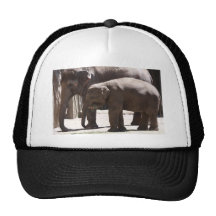 Elefante del bebé gorro