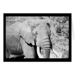 Elefante en Serengeti Tarjetón