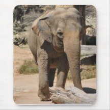 Elefante gris asiático Mousepad