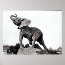 Elefante joven cogido en una trampa impresiones