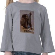 Elefante que juega con agua camisetas