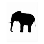 Elefante Tarjeta Postal