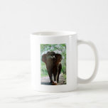 Elefante Taza