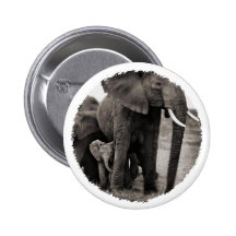 Elefante y elefante del bebé pin