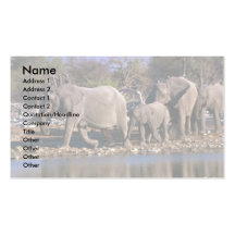 Elefantes africanos tarjeta de visita
