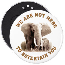 Elephats merece respecto pins