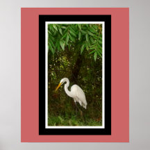 Ella quiere una imagen para el cuarto del piano poster