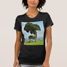 Ellen que broncea el parque de Scripps en La Jolla Camisetas