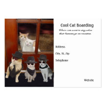 Embarque fresco del gato plantilla de tarjeta personal