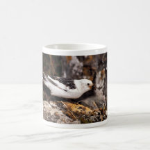 Empavesado de nieve taza de café