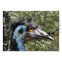 Emu en Australia Tarjeton