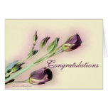 En blanco-personalizar de Congratulatins cualquier Felicitacion