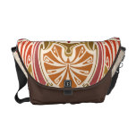 En el arte Nouveau del desierto Bolsas De Mensajería