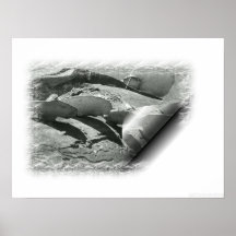 En el borde del río poster