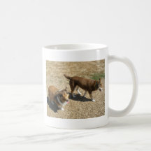 En el parque del perro taza de café