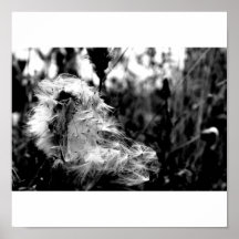 en el viento posters