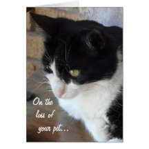 En la pérdida de su mascota-Gato con el poema Tarjetas