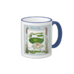 En la taza del lirio de agua del ~ del jardín