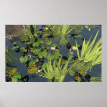 En segundo lugar Lillypads Poster