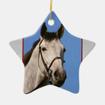 En su día especial, caballo gris adorno para reyes