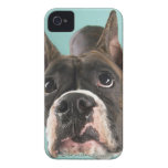 Encantador de Perros iphone 4 iPhone 4 Fundas