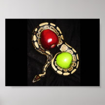 Encantador de serpiente posters