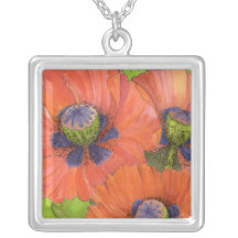Encanto rojo del collar de las amapolas