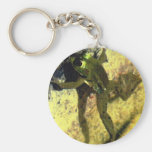 Encargado de la llave de la rana de primavera llaveros personalizados