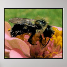 Encima de cierre con la abeja impresiones