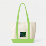 ENERGÍA INTUITIVA DE FENG SHUI BOLSA