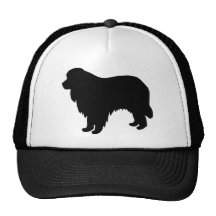Engranaje de Terranova Gorras De Camionero