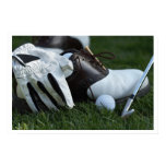 Posters De Deportes