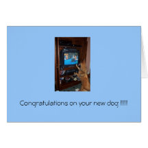 ¡Enhorabuena en su nuevo perro!!! Felicitaciones