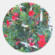 Enrejado del jardín etiquetas redondas