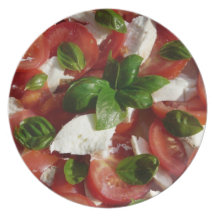 Ensalada del tomate y de la mozzarella platos de comidas