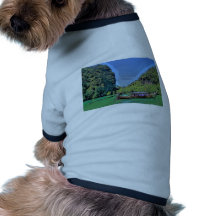ensenada divina ropa para mascota