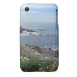 Ensenadas de La Jolla iPhone 3 Fundas