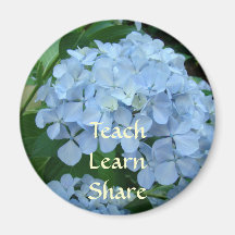 Enseñe aprenden Hydrangeas del azul de los regalos