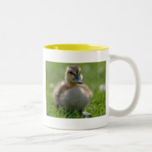 Entchen Teetasse