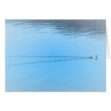 Ente duck karte