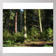 Entre en el bosque mágico de su imaginación posters
