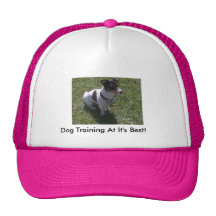 Entrenamiento del perro del Sweetie Gorras