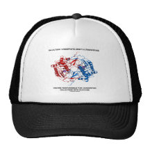 Enzima de Galactose-1-Phosphate Uridylyltransferas Gorros