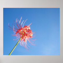 Equinoccio del otoño impresiones