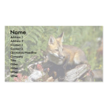 Equipo del Fox rojo Tarjeta Personal