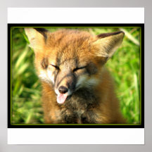Equipo del Fox ---¡Yuck! Posters